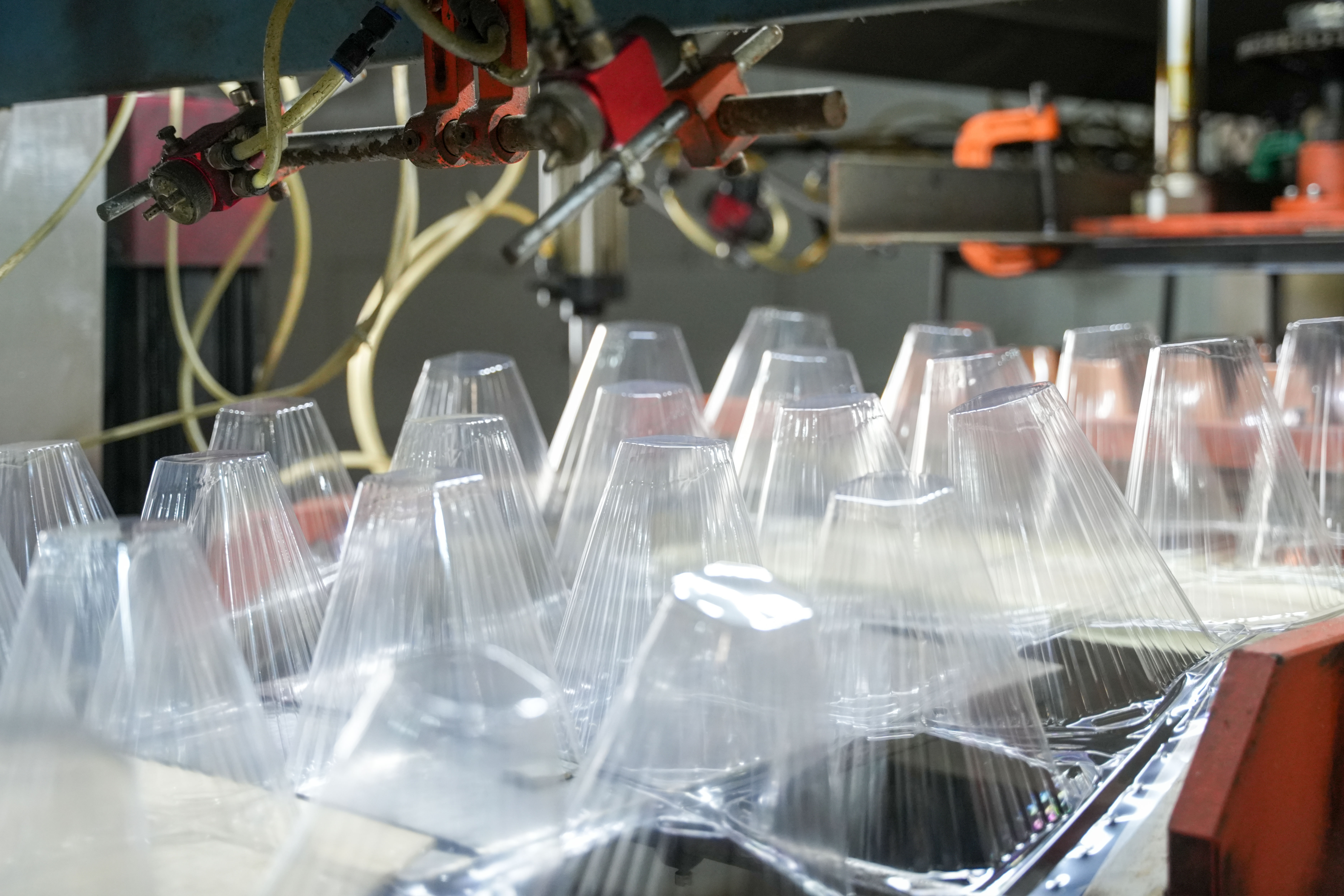 Hvordan beskytter engangsdekselet til frøplanter frøplanter mot skadedyr, insekter og smådyr?